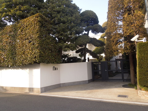 DSCN6863