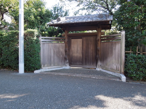 DSCN0871