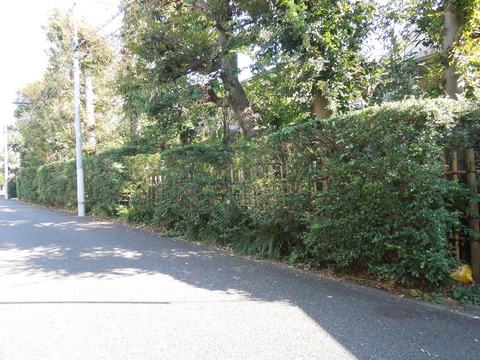 DSCN0869