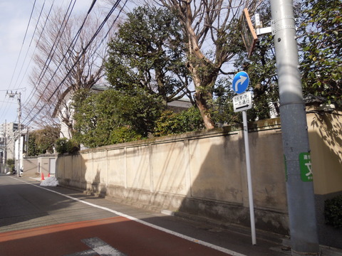 DSCN6534