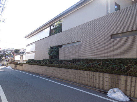 DSCN6651
