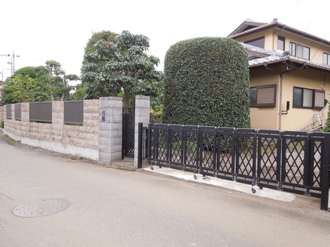 DSCN1042