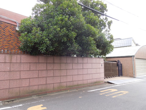 DSCN9906