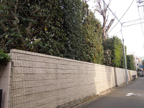 DSCN8852