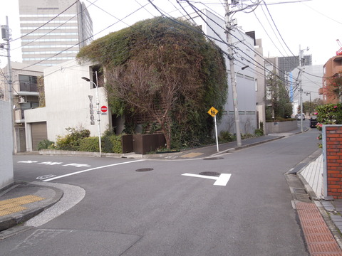 DSCN6408