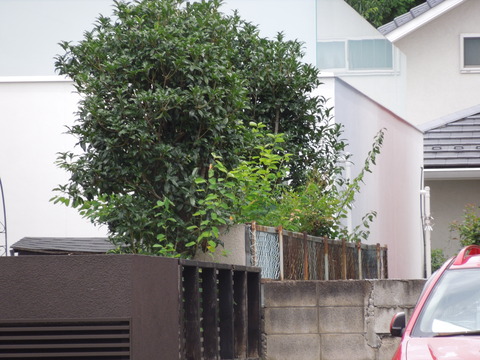 DSCN9703