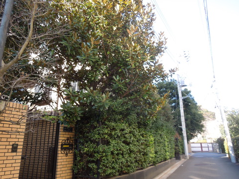 DSCN0490 (2)