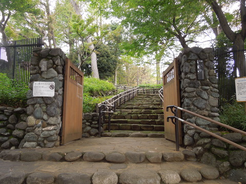 DSCN8086