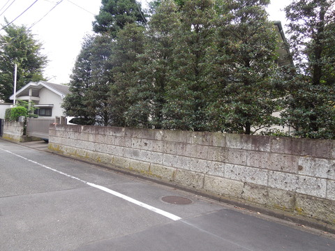 DSCN0304