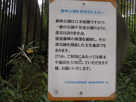 DSCN8079