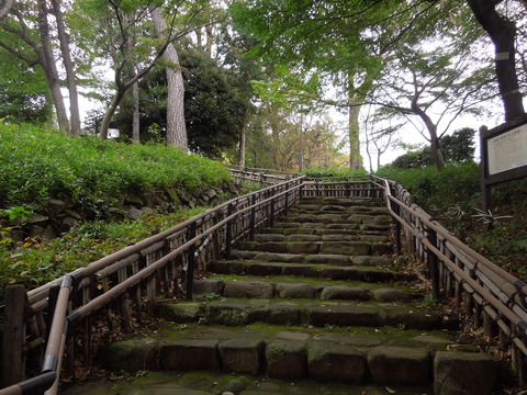 DSCN8080