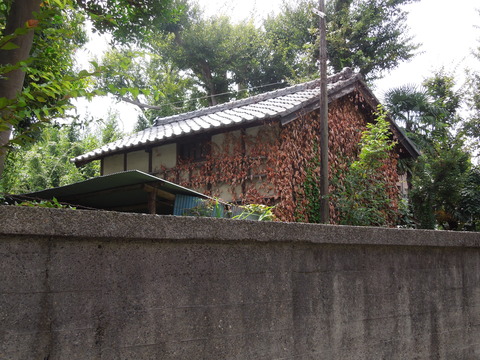 DSCN0254