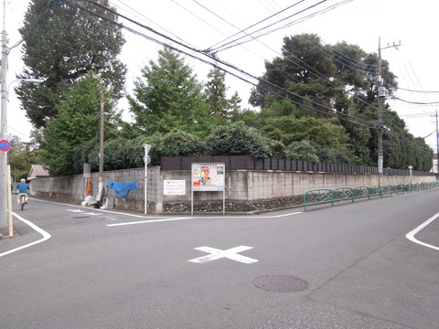 DSCN8328