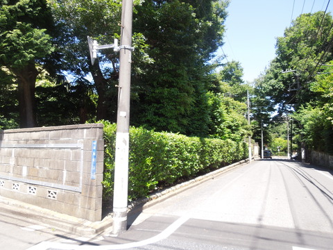 DSCN7039