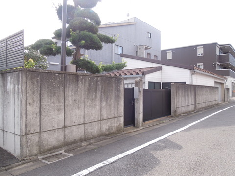 DSCN8428