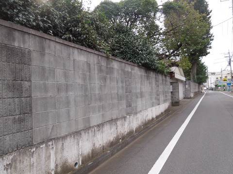 DSCN8327