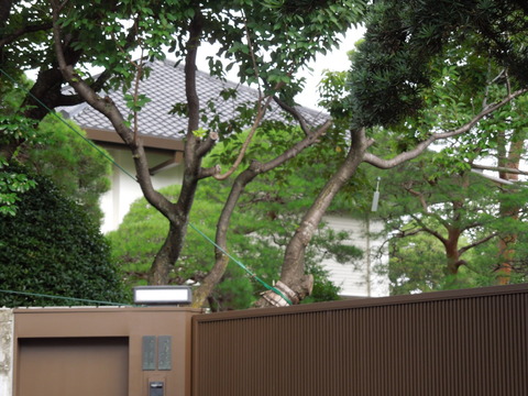 DSCN0137