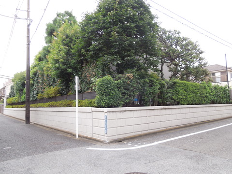 DSCN0369