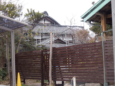 DSCN9242
