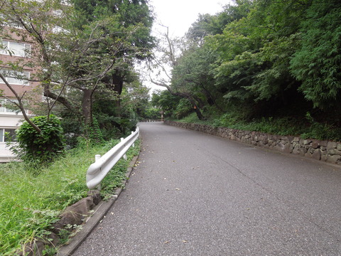 DSCN7425