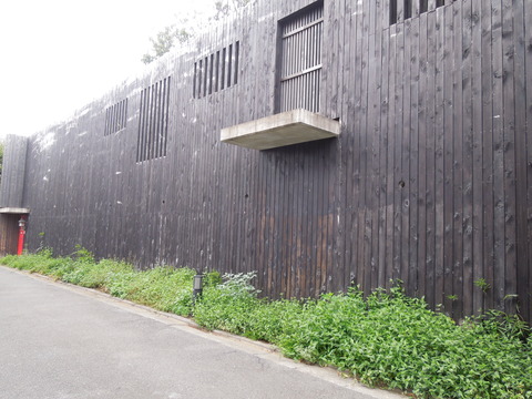 DSCN0343