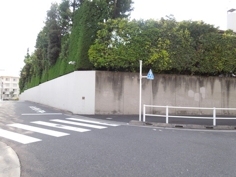 DSCN0131