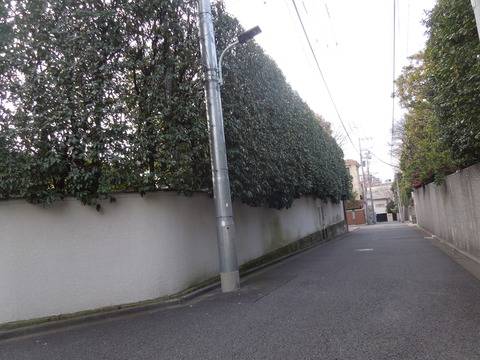 DSCN0627