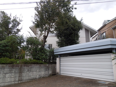 DSCN8225