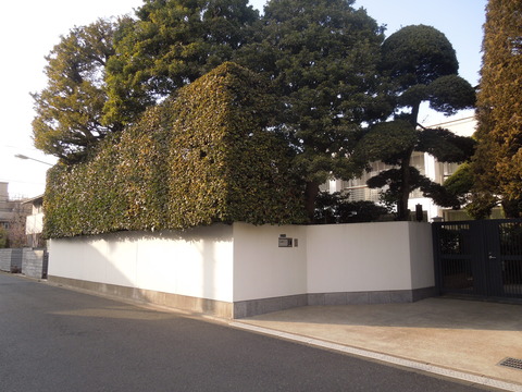 DSCN6864