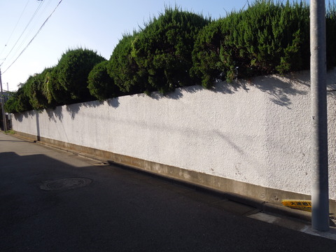 DSCN0875