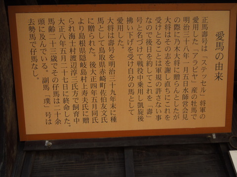 DSCN0507