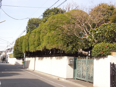 DSCN6635
