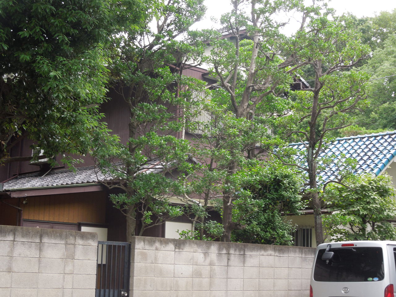 豪邸 東京都内の豪邸探索ブログ