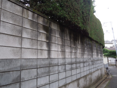 DSCN0214