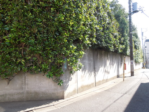 DSCN0849