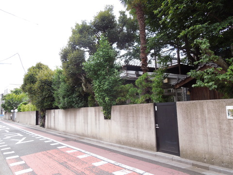 DSCN9910