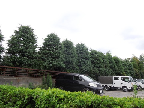 InkedDSCN9967_LI