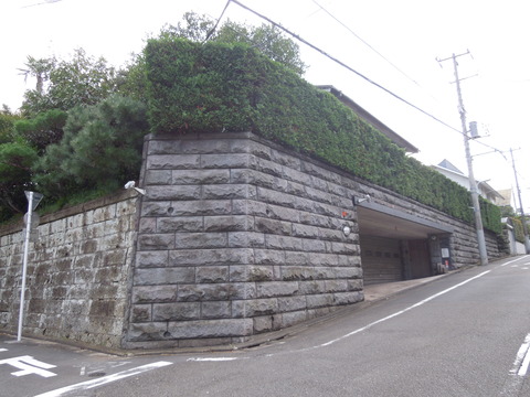 DSCN0803