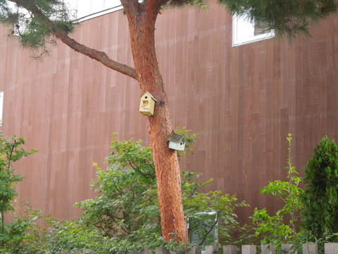 DSCN7609