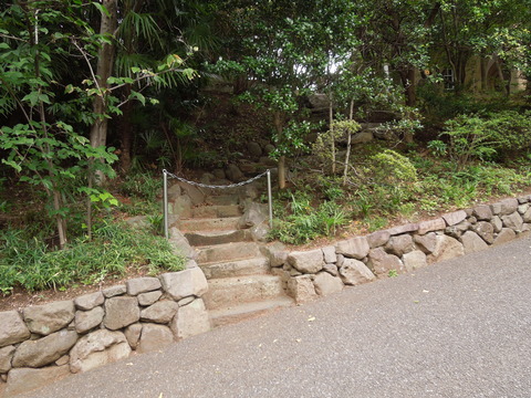 DSCN7428