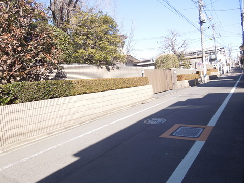 DSCN6647
