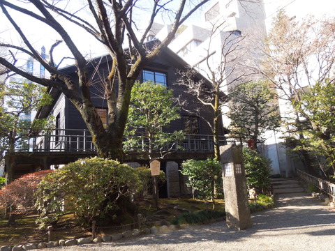 DSCN0504