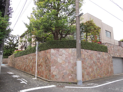 DSCN0435
