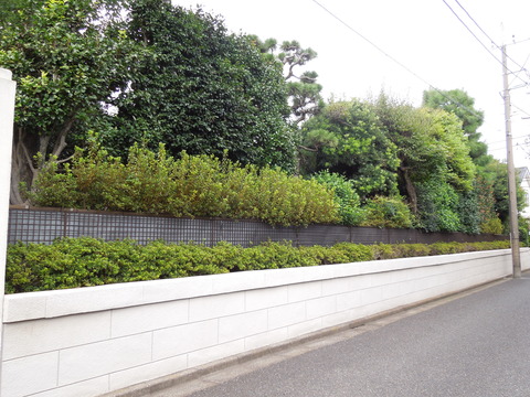 DSCN0370