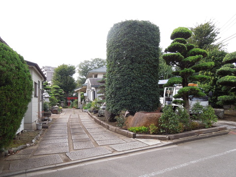 DSCN0305