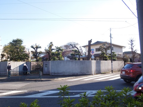 DSCN6074_LI (2)
