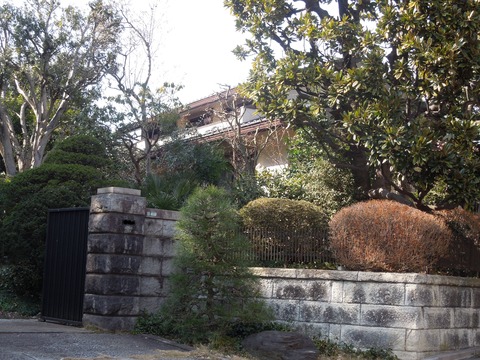 DSCN6896_LI