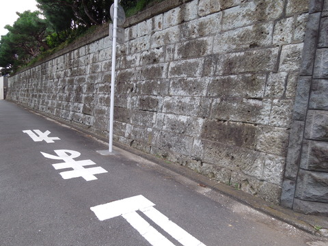 DSCN0801