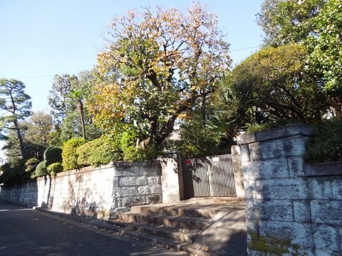 DSCN8729