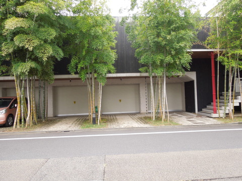 DSCN0347